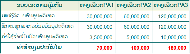 ປະກັນໄພອຸປະຕິເຫດຂັ້ນສູງ PA2